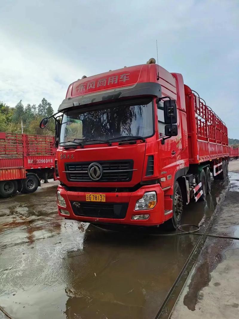 五年一个月 头板同步与国际道路运输证背后的普通货物运输合规之路